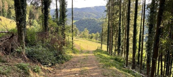 Grundstück in Hitzendorf, Austria 101553m², Nr. 216658 8