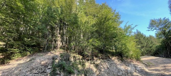 Grundstück in Hitzendorf, Austria 101553m², Nr. 216658 6