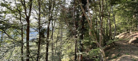 Grundstück in Hitzendorf, Austria 101553m², Nr. 216658 12