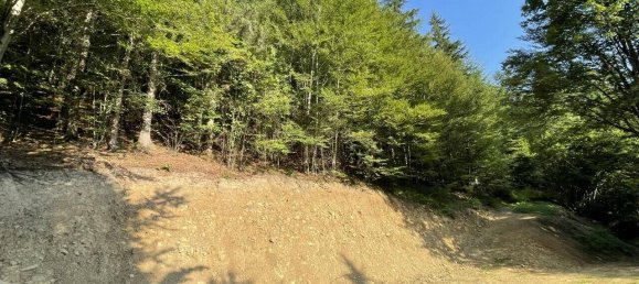 Grundstück in Hitzendorf, Austria 101553m², Nr. 216658 10