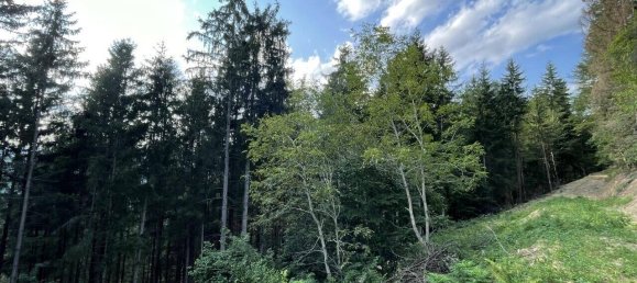 Grundstück in Hitzendorf, Austria 101553m², Nr. 216658 2