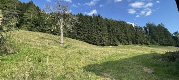 Grundstück in Hitzendorf, Austria 101553m², Nr. 216658 4