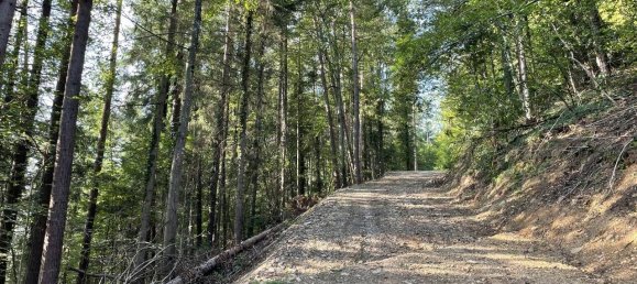 Grundstück in Hitzendorf, Austria 101553m², Nr. 216658 7