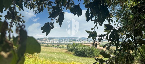 4-Zimmer Haus in Todi, Italy, Nr. 221236 2