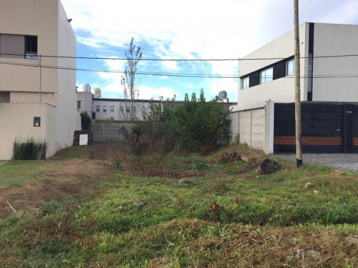  Land in Campo Creado, Argentina No. 33985