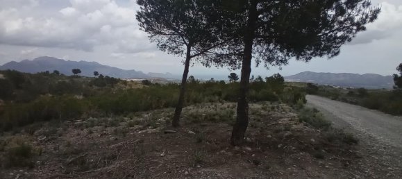 Grundstück in La Nucia, Spain, Nr. 160959 11