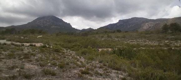 Grundstück in La Nucia, Spain, Nr. 160959 28