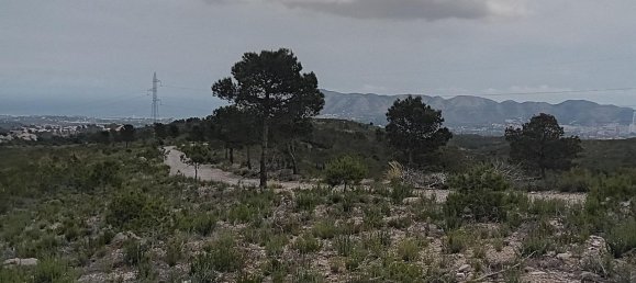 Grundstück in La Nucia, Spain, Nr. 160959 30