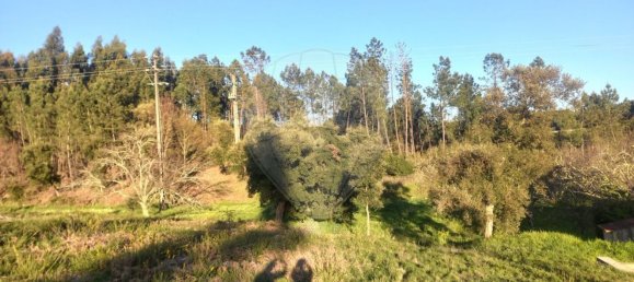 Casa de 3 dormitorios en Serta, Portugal No. 162372 17