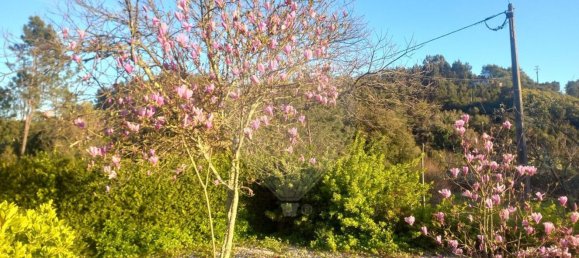 Casa de 3 dormitorios en Serta, Portugal No. 162372 10