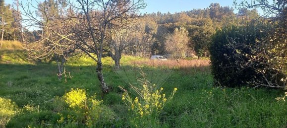 Casa de 3 dormitorios en Serta, Portugal No. 162372 19