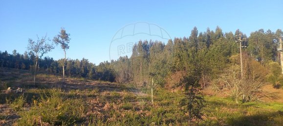 Casa de 3 dormitorios en Serta, Portugal No. 162372 15