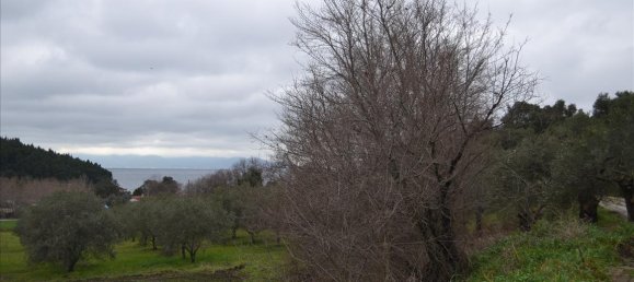 8200m² Hotel in Chalkidiki, Greece No. 7405 7