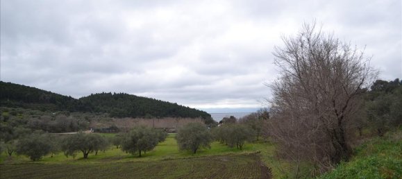 8200m² Hotel in Chalkidiki, Greece No. 7405 8