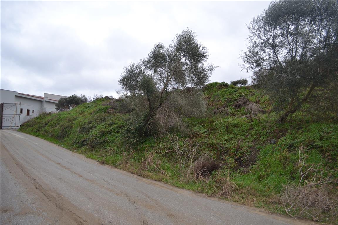 8200m² Hotel in Chalkidiki, Greece No. 7405