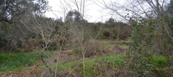 8200m² Hotel in Chalkidiki, Greece No. 7405 5