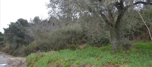 8200m² Hotel in Chalkidiki, Greece No. 7405 6