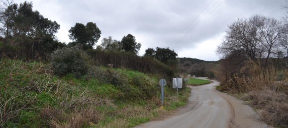 8200m² Hotel in Chalkidiki, Greece No. 7405 3