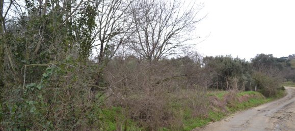 8200m² Hotel in Chalkidiki, Greece No. 7405 4