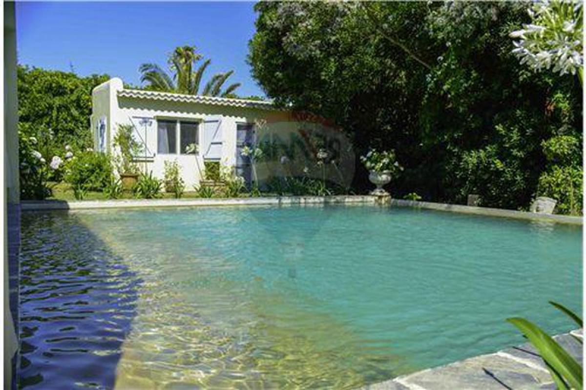 3 chambres Maison à Maldonado, Uruguay No. 146