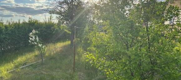 Земельный участок в Вартенберг, Германия № 240888 6