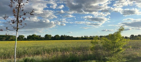 Земельный участок в Вартенберг, Германия № 240888 9