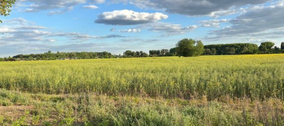 Земельный участок в Вартенберг, Германия № 240888 10