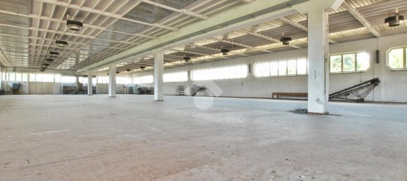 Склад с 4 комнатами в Крешентино, Италия № 103799 6