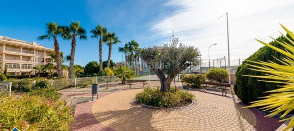 2 bedrooms Apartment in Alicante, Spain No. 168421 37