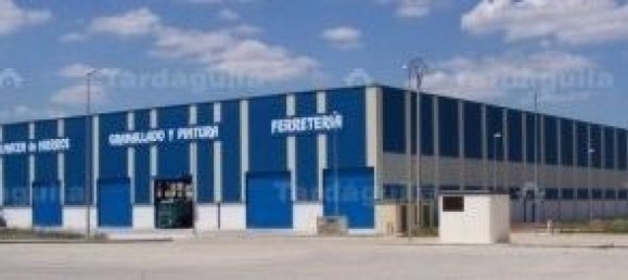 12500m² Warehouse in Castellanos de Moriscos, Spain No. 117405 11