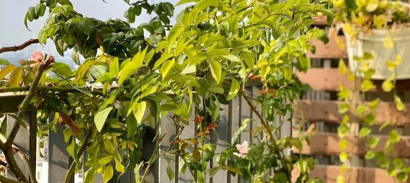 Квартира с 2 спальнями в VISTA VERDE, Хошимин, Вьетнам № 20215 4