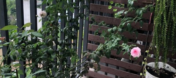 Квартира с 2 спальнями в VISTA VERDE, Хошимин, Вьетнам № 20215 6