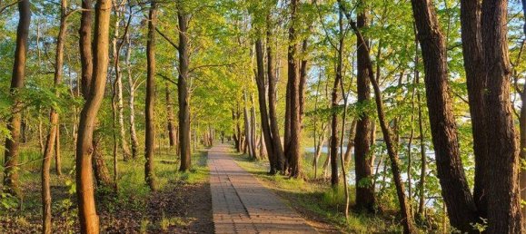 4 Schlafzimmer Haus in Dahme-Spreewald, Germany, Nr. 282023 27
