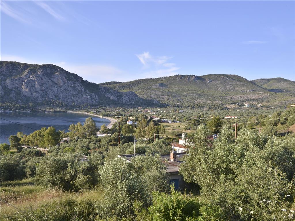 6464m² Hotel in Loutraki, Greece No. 7149