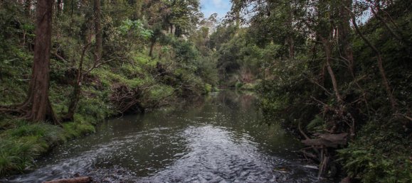 Maison à Boorabee Park, Australia No. 918 16