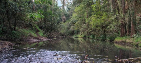 Maison à Boorabee Park, Australia No. 918 3