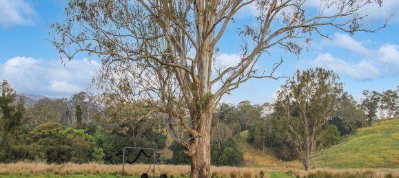 Maison à Boorabee Park, Australia No. 918 14