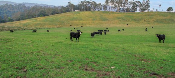 Maison à Boorabee Park, Australia No. 918 6
