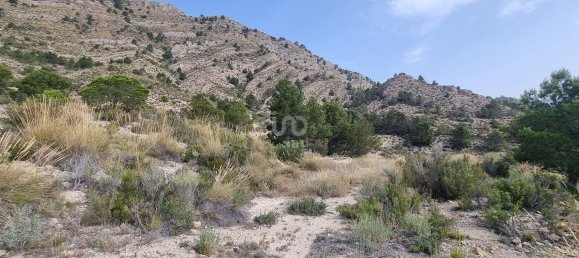 88778m² Land in Alicante, Spain No. 150469 23