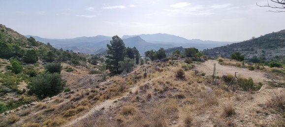 88778m² Land in Alicante, Spain No. 150469 2