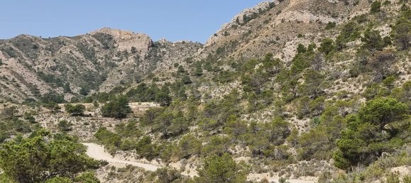 88778m² Land in Alicante, Spain No. 150469 36