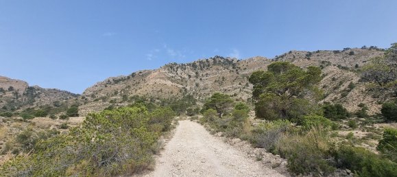 88778m² Land in Alicante, Spain No. 150469 21