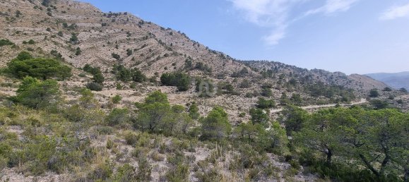 88778m² Land in Alicante, Spain No. 150469 19