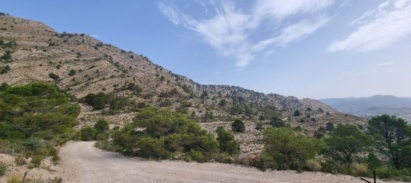 88778m² Land in Alicante, Spain No. 150469 14