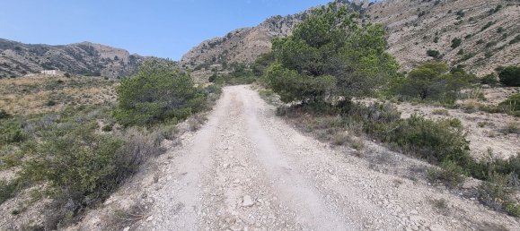 88778m² Land in Alicante, Spain No. 150469 18