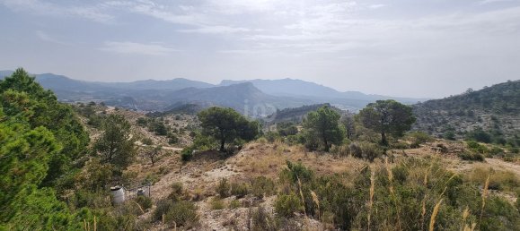 88778m² Land in Alicante, Spain No. 150469 27