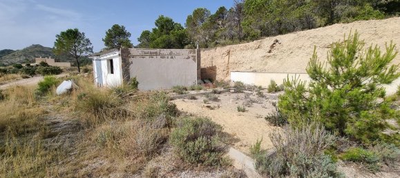 88778m² Land in Alicante, Spain No. 150469 5