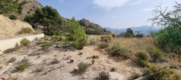 88778m² Land in Alicante, Spain No. 150469 11