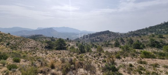 88778m² Land in Alicante, Spain No. 150469 31