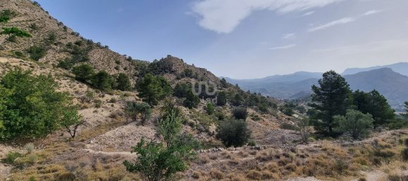 88778m² Land in Alicante, Spain No. 150469 40